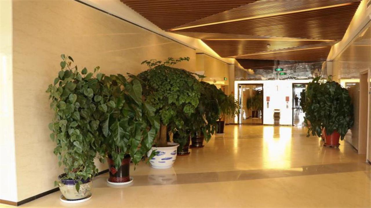 Holiday Inn Express Zhangjiakou Park View, An Ihg Hotel Exterior photo